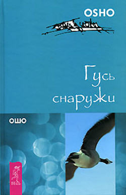 Гусь снаружи