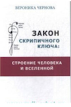 Закон скрипичного ключа: строение человека и Вселенной